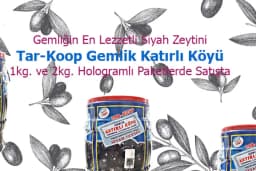 Mert Tur Öğrenci&amp;Personel Servis Taşımacılığı