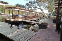 Değirmen Cafe