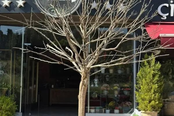 Detay Çiçek Mağazası-Ataşehir - Çiçekçi - İstanbul Beyoğlu
