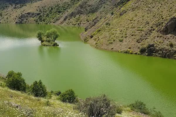 Çanuh Göleti - Gölet - Ankara Balâ