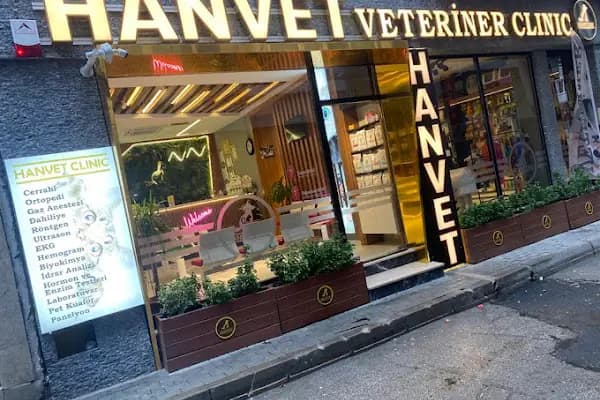 Hanvet Clinic - Gemlik Veteriner Kliniği - Veteriner - Bursa Gemlik