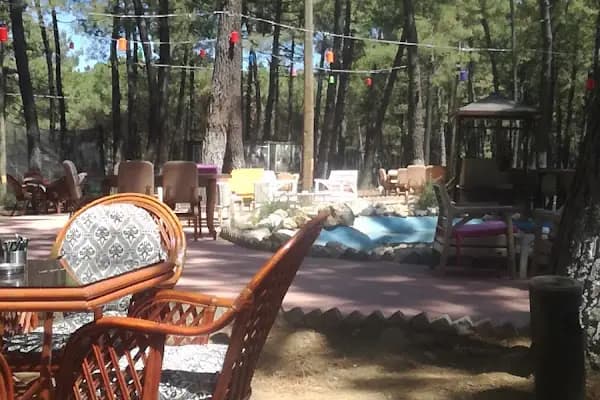 Kozalak Cafe Restaurant Tesisleri - Kafe - İstanbul Bağcılar