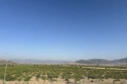 Kurtlar Malikanesi