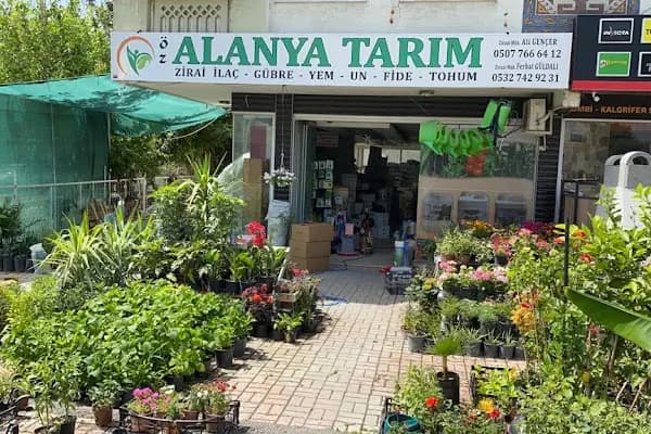 ALANYA TARIM - Tarımsal Hizmet Sağlayıcısı - Antalya Muratpaşa