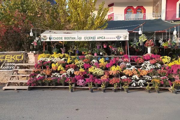 Cadde Bostanbaşı çiçekçi amca - Çiçekçi - Malatya Battalgazi