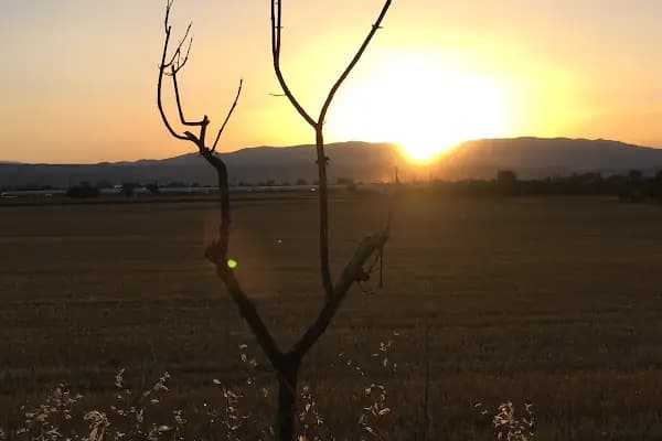Özgürcanlar Un ve Yem - Un Fabrikası - Antalya Aksu