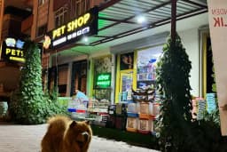 Tospik Petshop