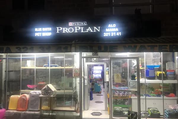 Blue Water Pet Shop - Evcil hayvan mağazası - Ankara Altındağ