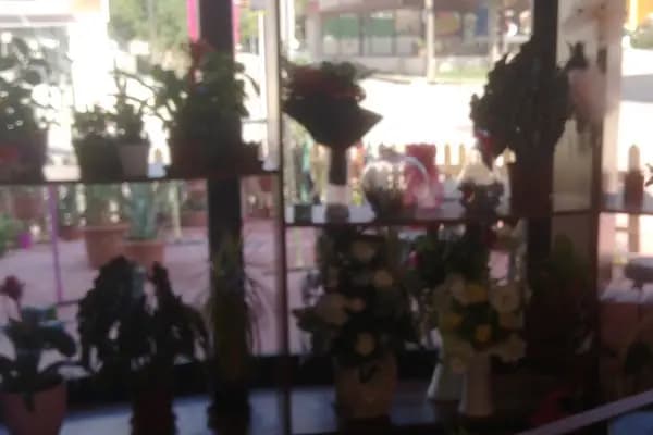 Özlem Çiçekçilik Organizasyon - Çiçekçi - Kocaeli Başiskele