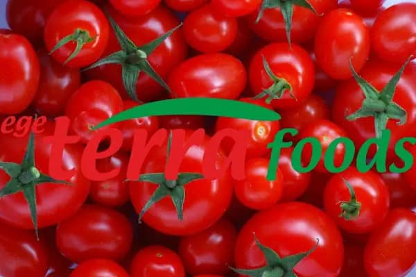 EGE TERRA GIDA TARIM SANAYİ TİCARET LTD. ŞTİ. - Gıda Üreticisi - İzmir Çiğli