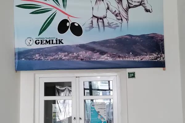 Cumhuriyet Mahallesi Muhtarlığı - Resmi Kurum - Bursa Gemlik