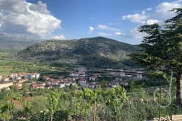 Düğmeli Cafe & Organizasyon