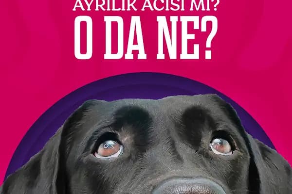 Elit Petshop İstiklal Şubesi - Evcil Hayvan Malzemeleri Mağazası - Denizli Pamukkale