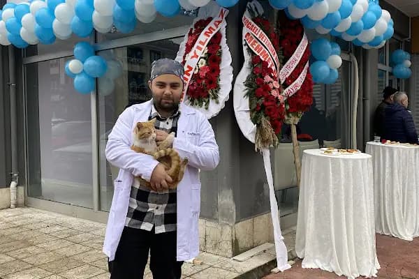 Bal Veteriner Kliniği - Veteriner - Kocaeli Başiskele