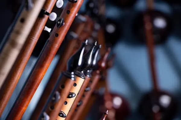 ALER MÜZİK FİLM YAPIM VE ORGANİZASYON LİMİTED - Müzik Yapımcısı - İstanbul Kartal