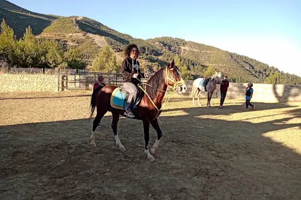 ÇAĞRI BİNİCİLİK VE ATLI SPOR KULÜBÜ - At Binme Hizmeti - Manisa Alaşehir