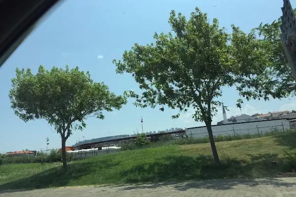 Trabzon Belediyesi Toptancı Meyve Ve Sebze Hal Müdürlüğü - Resmi Kurum - Trabzon Akçaabat
