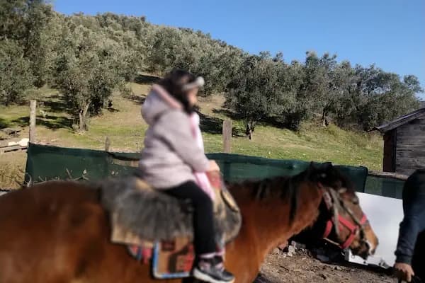 Gizli Vadi Binicilik Kulübü - Binicilik Kulübü - Bursa Kestel