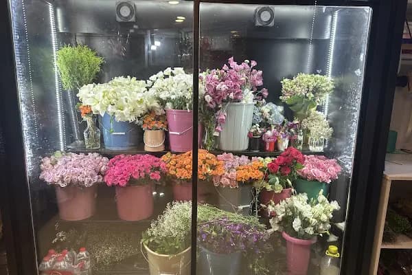 Esila ÇİÇEK TASARIM &amp; Leila EVENT - Çiçekçi - İstanbul Esenyurt