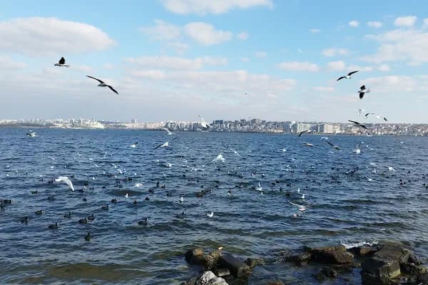 Beach In Kuçukçekmece - Halk Plajı - İstanbul Adalar