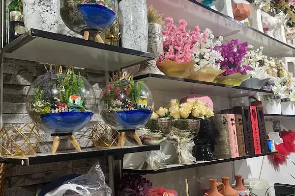 orkide çiçekçilik - Çiçekçi - Mersin Anamur