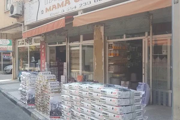 taşdemir petshop - Evcil hayvan mağazası - Manisa Yunusemre