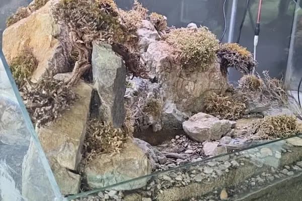 Şelale Antalya - Üretici - Antalya Döşemealtı