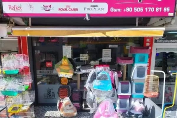 altıntaş petshop - Evcil hayvan mağazası - Ankara Altındağ