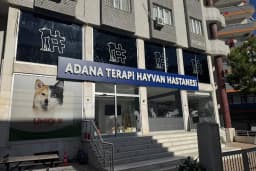 Adana Terapi Hayvan Hastanesi