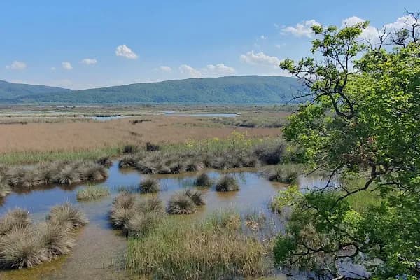 Karacabey Longoz Ormanları - Doğa Koruma Alanı - Bursa Karacabey