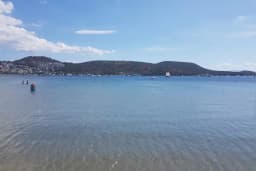 Gumsal