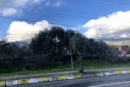 Bozdoğan İmam Hatip Ortaokulu