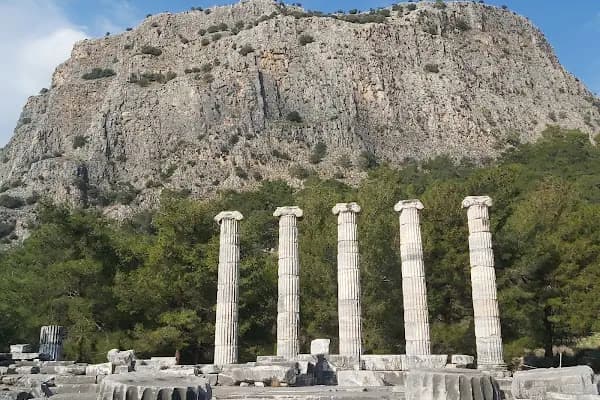 Priene Athena Tapınağı - Tarihi Yer - Aydın Bozdoğan