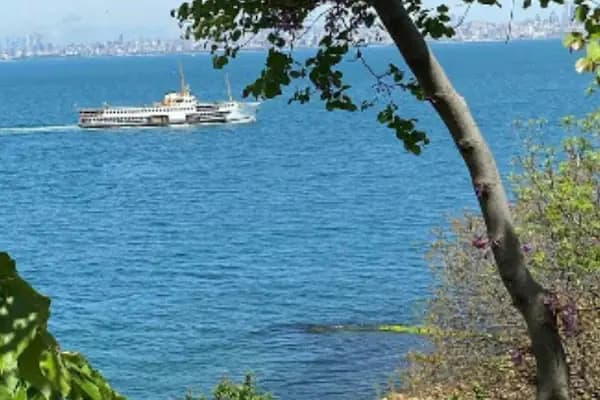 İstanbul Dil Danışmanlık - Özel Ders Hizmeti - İstanbul Bağcılar