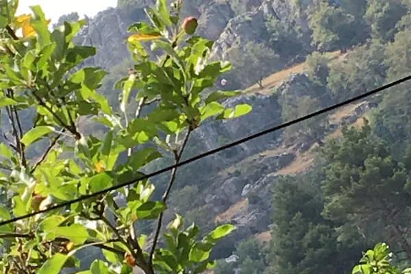 Bedirettin Çam’ın Malikhanesi - Konut Sitesi - Adana Aladağ