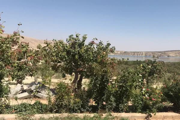FIRATLAR BAĞ EVİ - Dağ Evi - Gaziantep Nizip