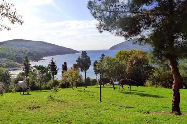 Değirmen Burnu Tabiat Parkı - Milli Park - İstanbul Eyüpsultan