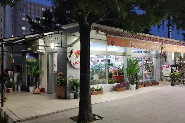 C.Ü.Çiçekçi - Çiçekçi - Sivas Sivas Belediyesi