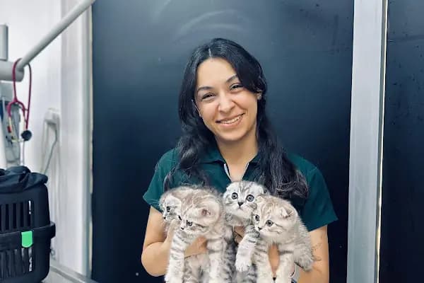 PETAMOR VETERİNER KLİNİĞİ - Veteriner - İzmir Karabağlar