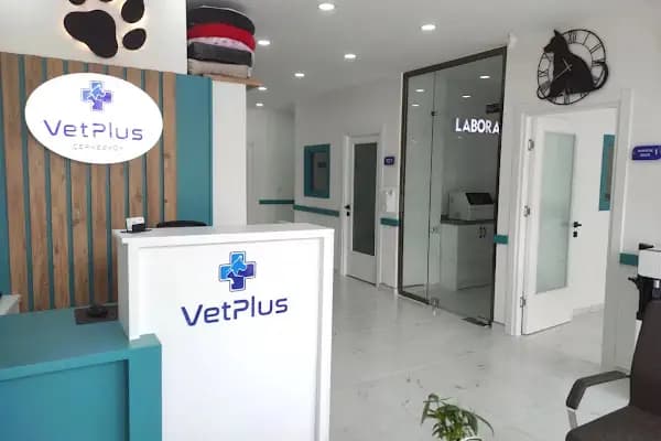 Çerkezköy VetPlus Veteriner Kliniği - Veteriner - Tekirdağ Kapaklı