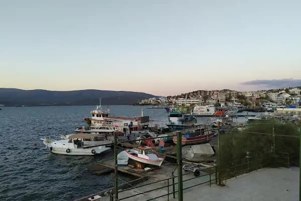 Pina Colada Bodrum Beach&amp;Bungalows - Otel - Muğla Milas
