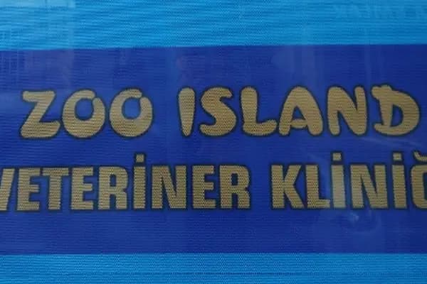 Zoo Island Veteriner Kliniği - Veteriner - Sakarya Adapazarı