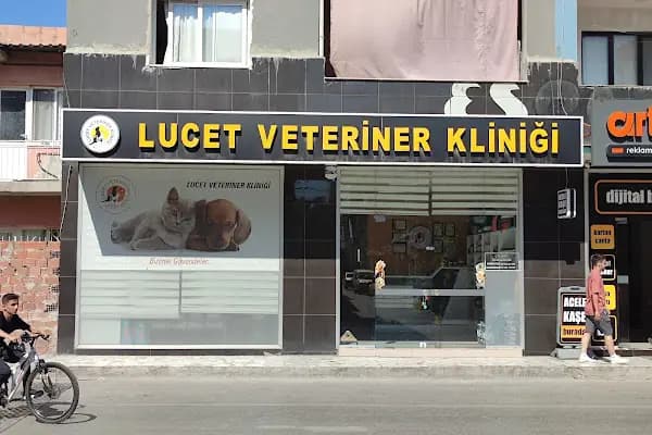 LUCET VETERİNER KLİNİĞİ - Veteriner - İzmir Aliağa