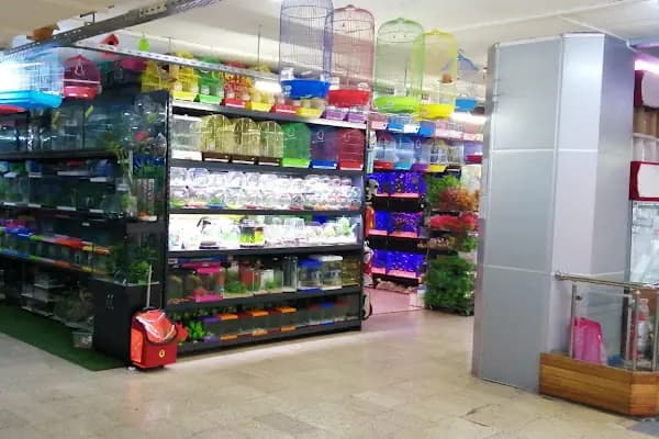 Coco's Pet Kuaför &amp; Pet Butik - Evcil Hayvan Kuaförü - Ankara Yenimahalle