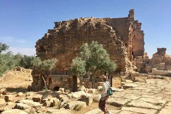 Mardin Yardere Dicle Kamp Alanı - Kamp Alanı - Mardin Artuklu