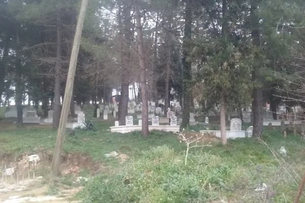 Evren Mahallesi Mezarlığı - Mezarlık - Sakarya Adapazarı