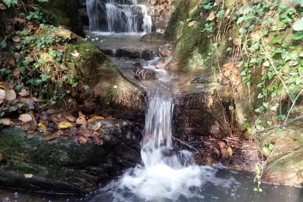 Sekbanlı Köyü Korusu - Milli Park - Kocaeli Derince