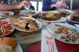 Tolca Tayat Balık Evi Restaurant