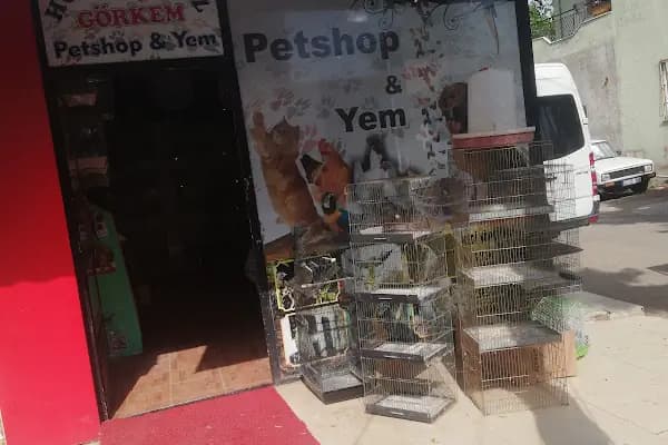 Ailem Pet Shop - Evcil hayvan mağazası - Antalya Aksu