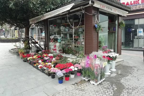 Can Çiçek Evi | Altıparmak Çiçekci, Çarşamba Çiçekci, Çiçek Siparişi - Çiçekçi - Bursa Büyükorhan